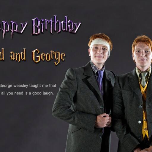 تولد فرد و جورج ویزلی
